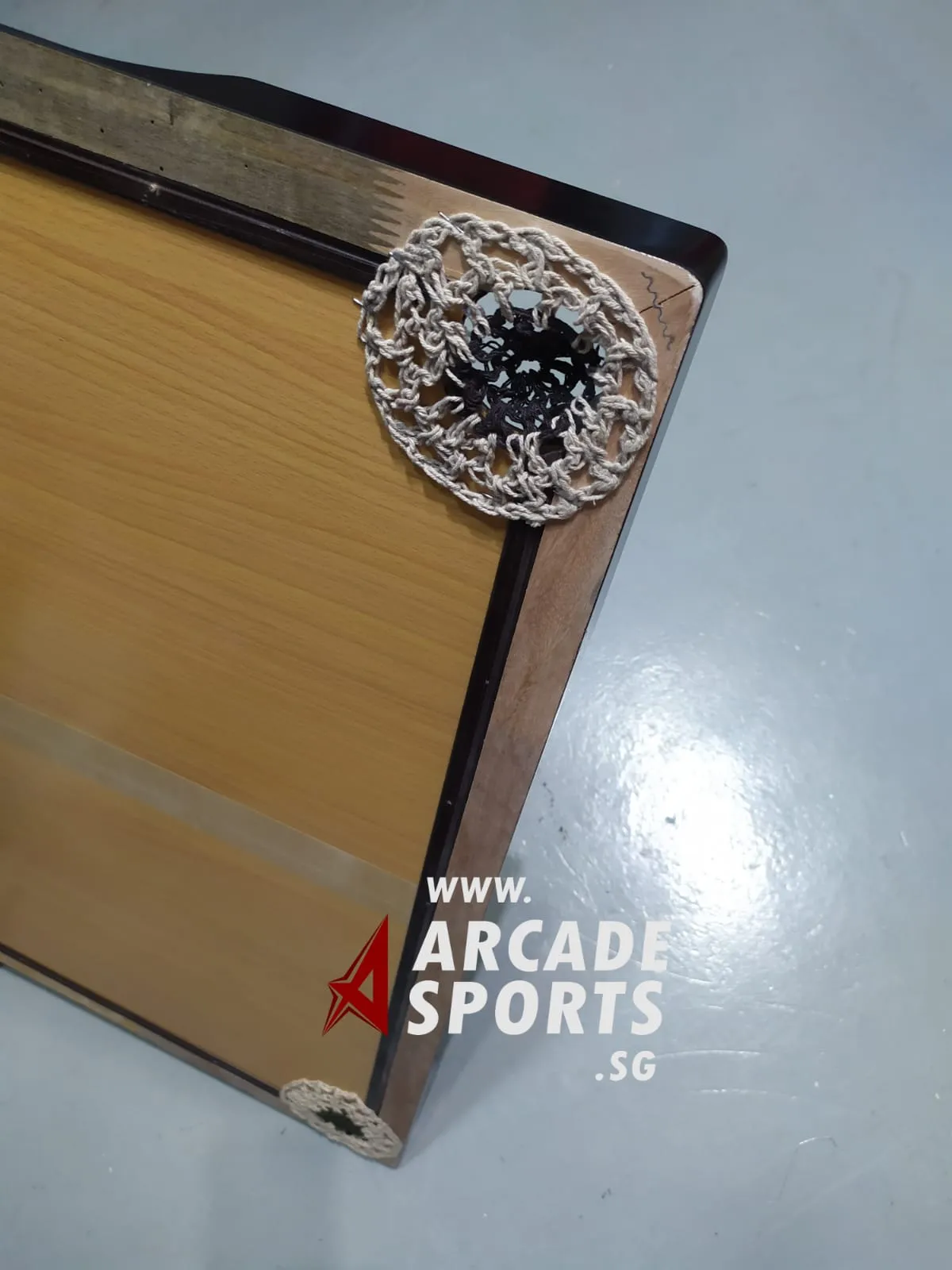 Carrom Board - Tour Trainer +