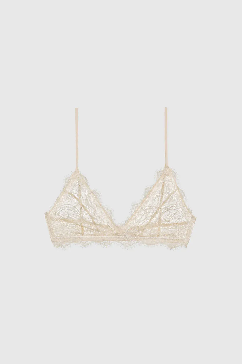 Lace Bra With Trim - Nude