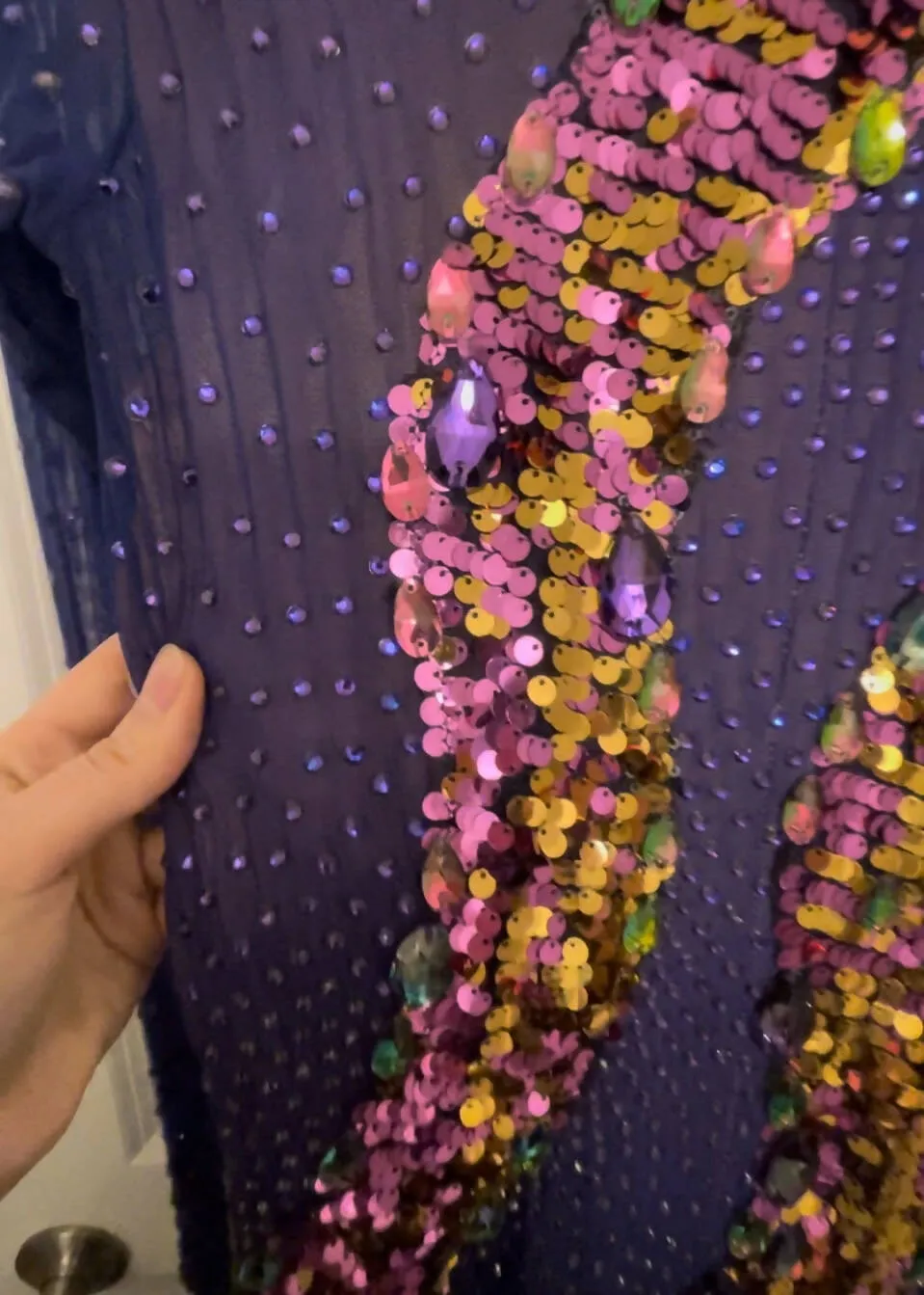 Purple Ballroom Dress: Mesmerizing Melnikoff's