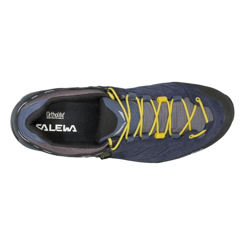 Salewa Ms Mtn Trainer GTX Trekking Shoes