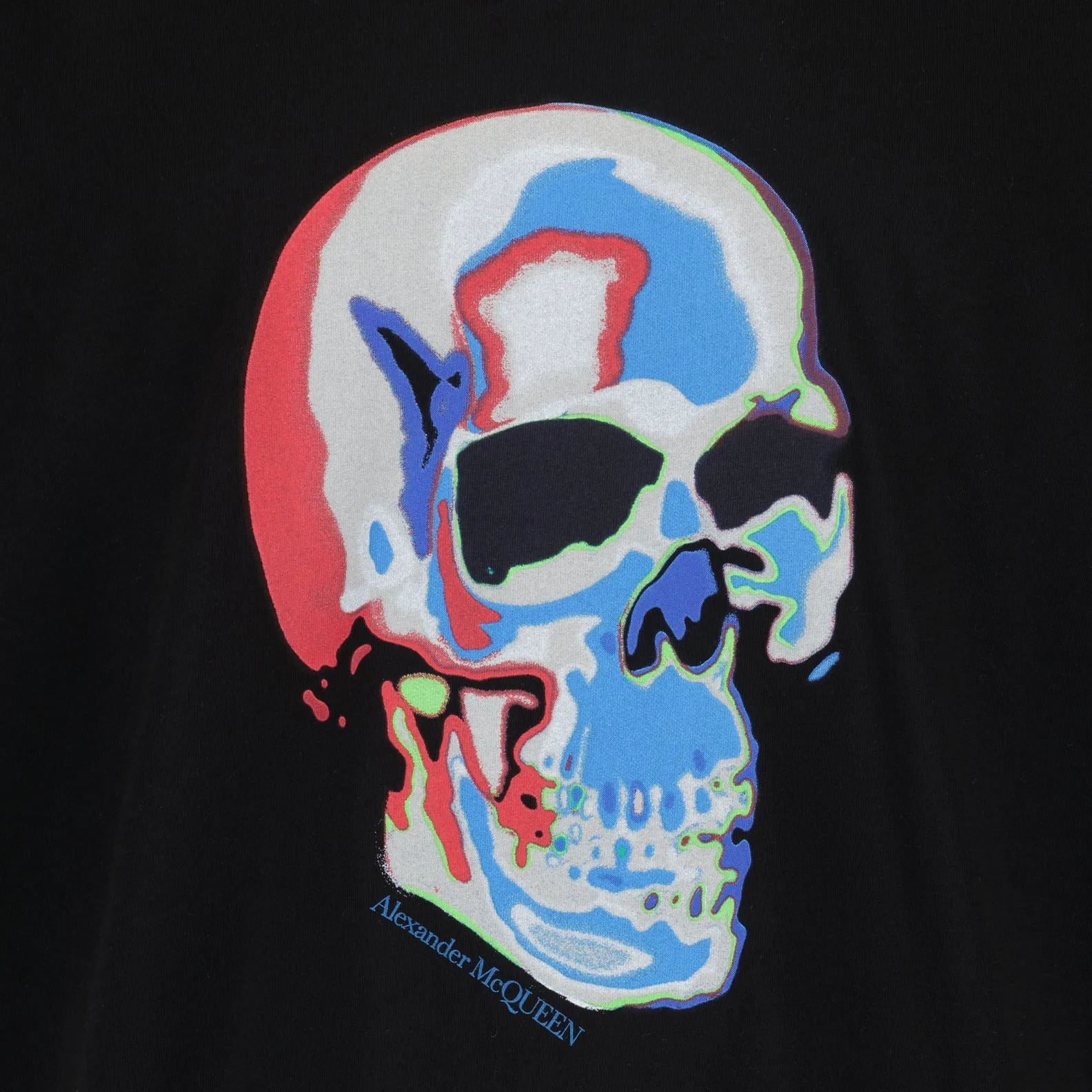 T-shirt Skull